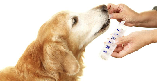 VETERINARY MEDICATIONS